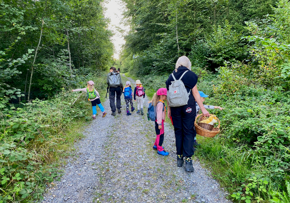 Kindergartengruppe sammelt Beeren